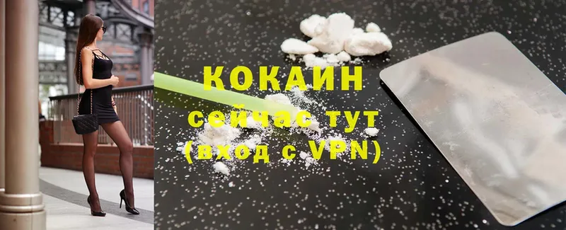 где купить   mega ТОР  Cocaine 99%  Ленинск-Кузнецкий 